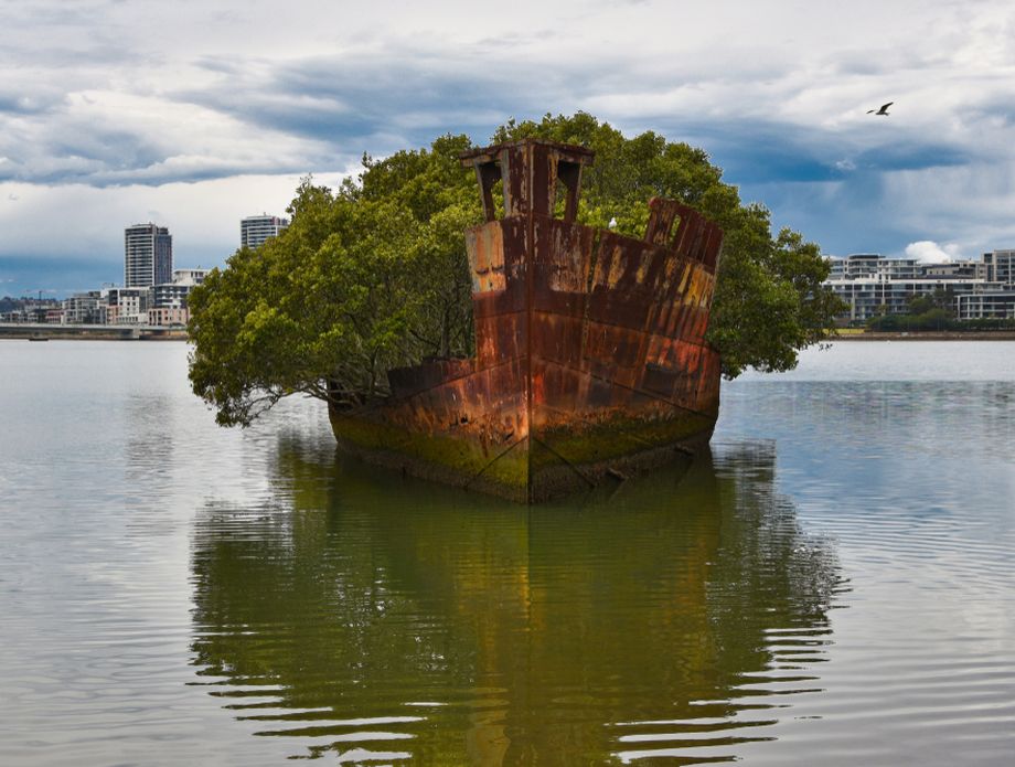 Homebush Bay - 3