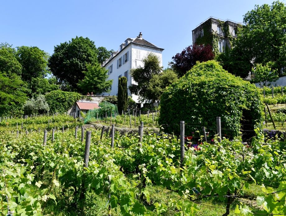 Clos Montmartre - 5