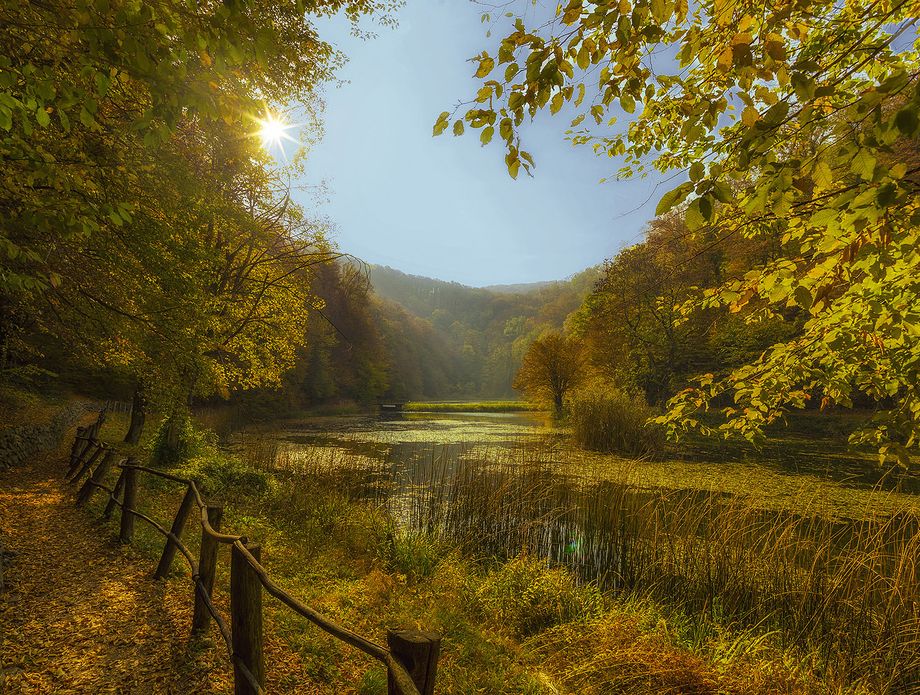 Park-šuma Jankovac