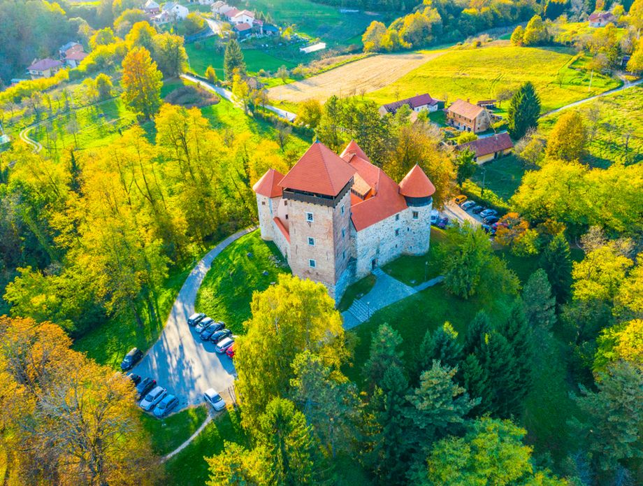 Stari grad Dubovac