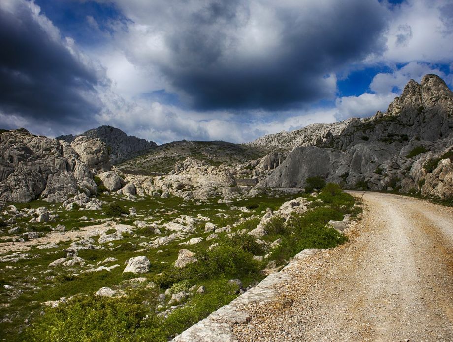 Kviz općeg znanja - 12