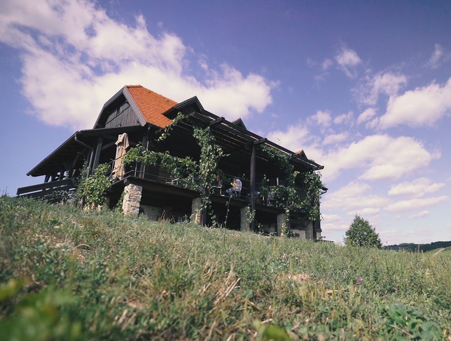 Vinarija Bolfan nalazi se na samom vrhu s prekrasnim pogledom na krajolik