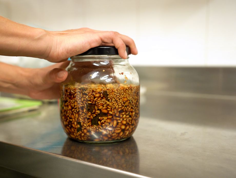 Proces fermentacije hishio dodatka jelu