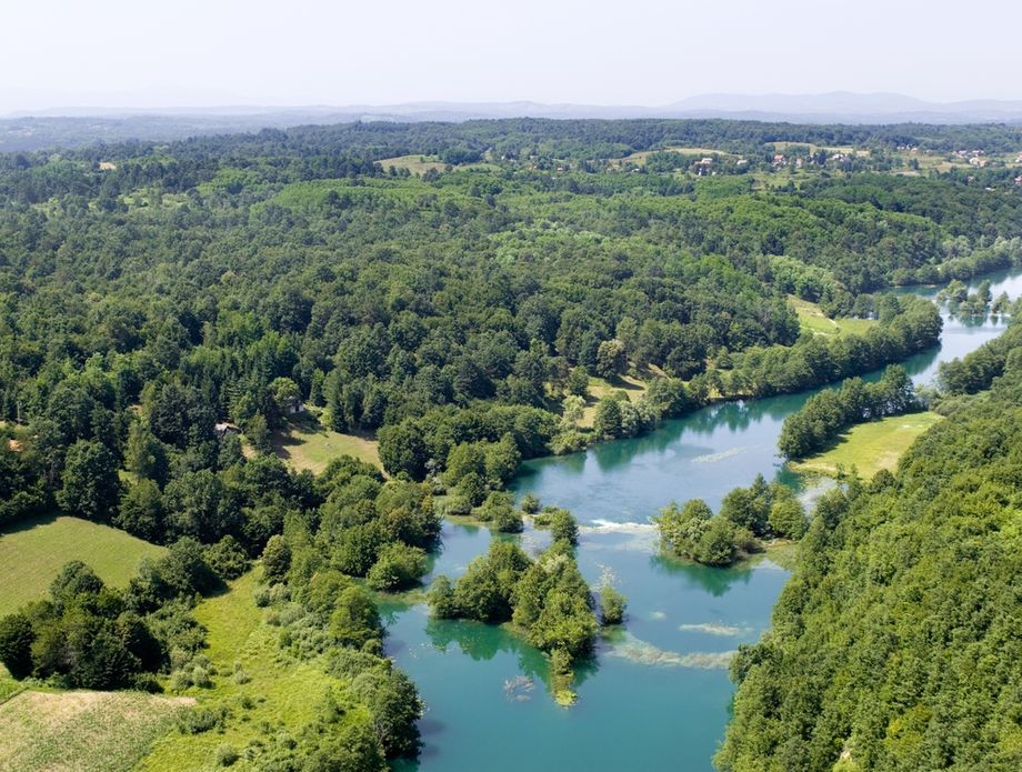 Mrežnica - 1