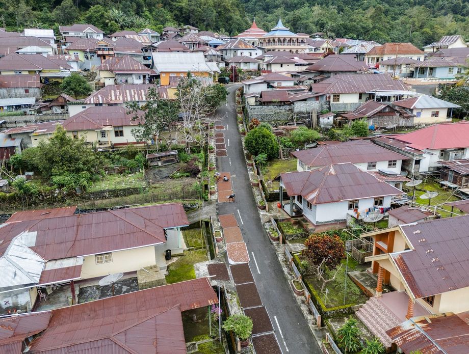 Branje i sušenje klinčića na otoku Tidore u Indoneziji - 4