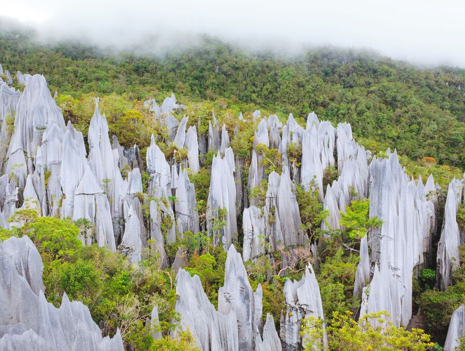 Nacionalni park Gunung Mulu