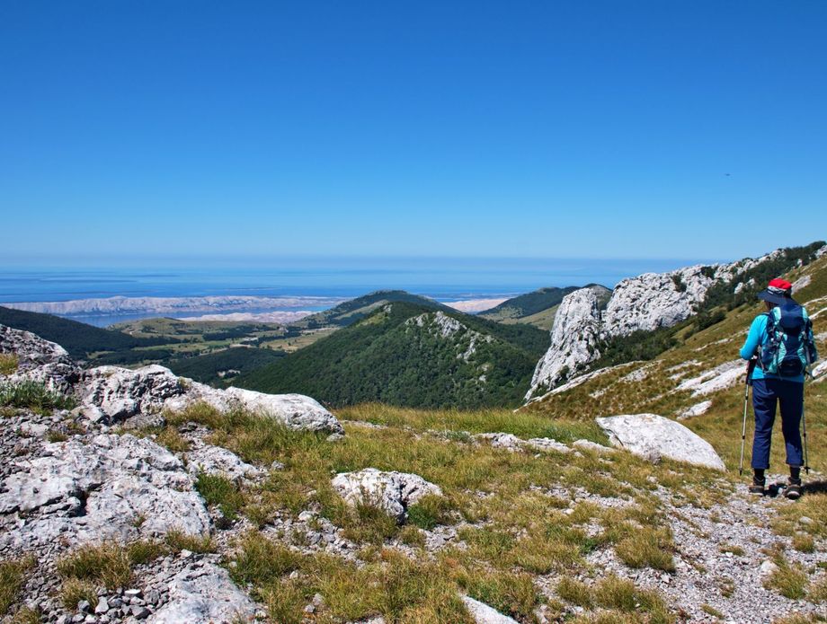 Novi kviz općeg znanja - 10