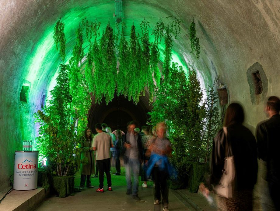 Najljepša priča iz prirode u tunelu Grič - 1