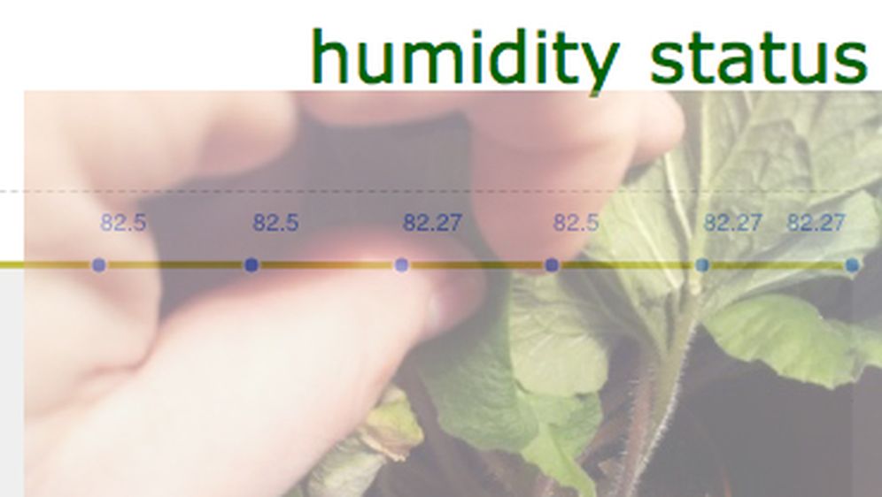 Biljka koja tvita, projekt asistenta s FOI-a