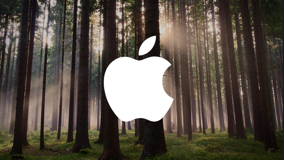 Zašto je Apple kupio 36,000 hektara šume?