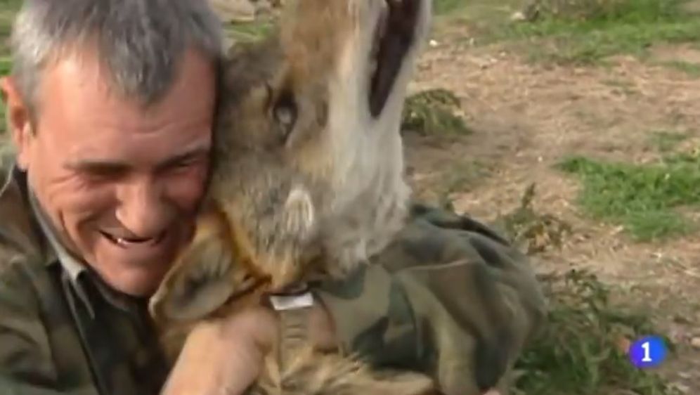 Čovjek kojeg su odgojili vukovi razočaran životom među ljudima (Screenshot YouTube)