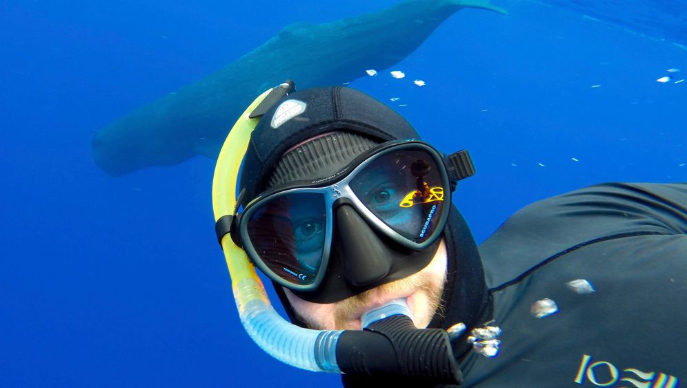 Ronilac snimio selfieje s morskim životinjama (Foto: Profimedia)