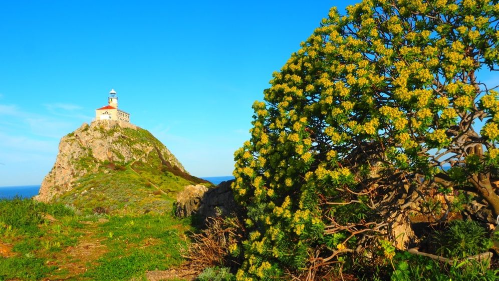 Palagruža u proljeće - 14