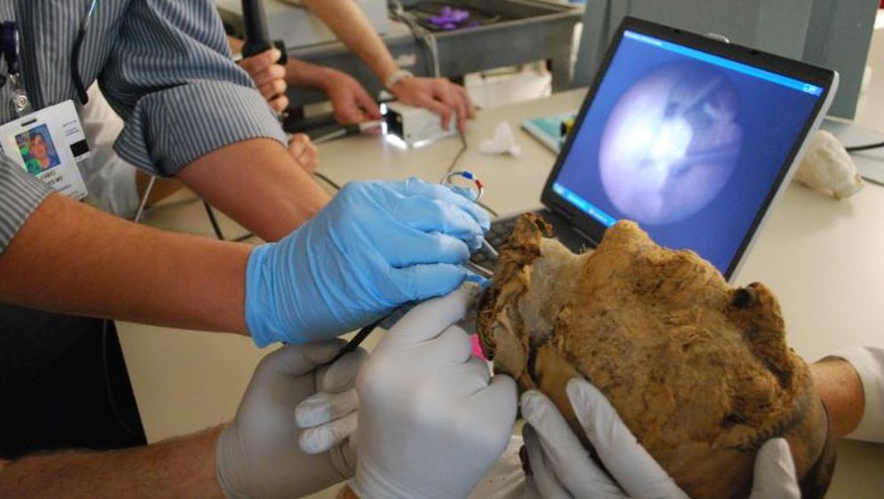 FBI riješio misterij star 4000 godina: Otkriveno kome pripada glava pronađena u egipatskoj grobnici (Foto: Boston Museum of Fine Arts)
