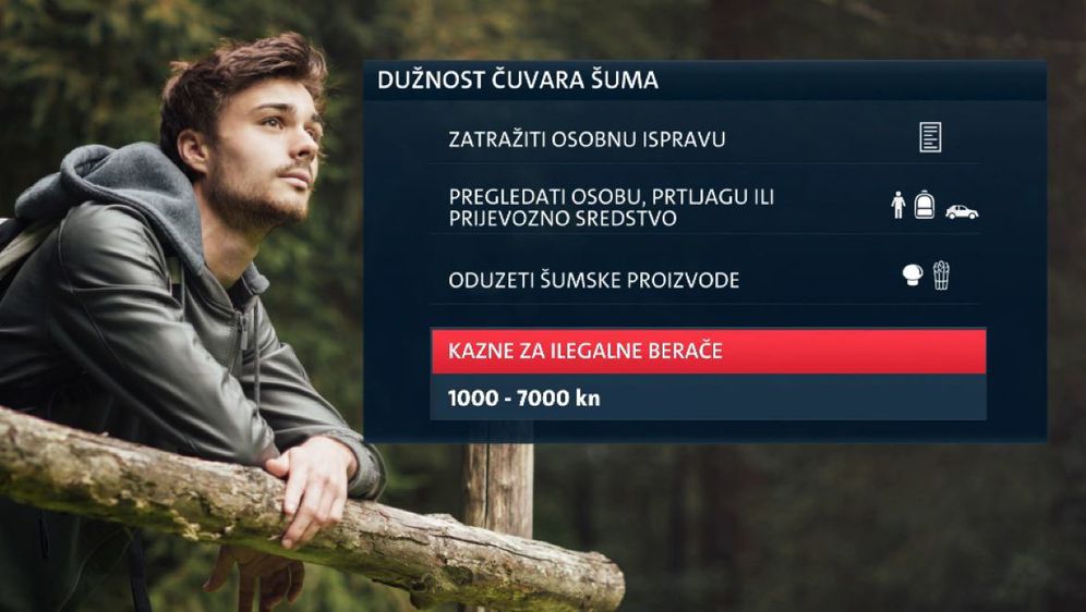 Berba šparoga u šumi kažnjiva bez dozvole (Foto: Dnevnik.hr) - 4