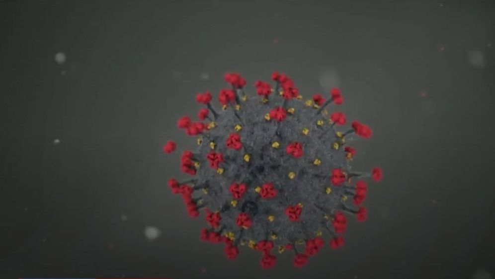 Animacija koronavirusa