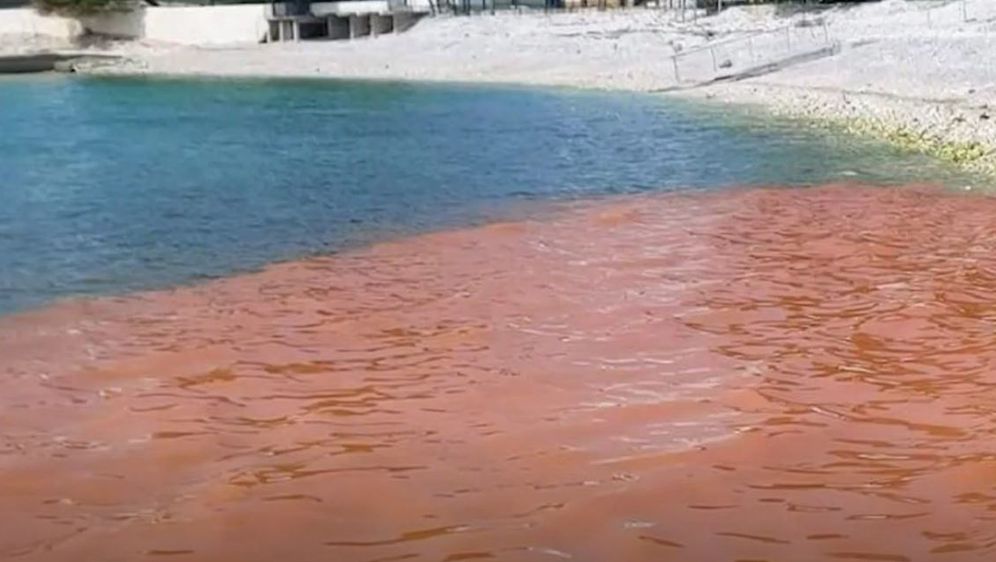 Crvena plima u Istri - 8