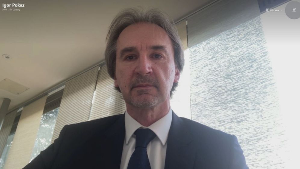 Igor Pokaz, hrvatski velepolanik u Ujedinjenom Kraljevstvu