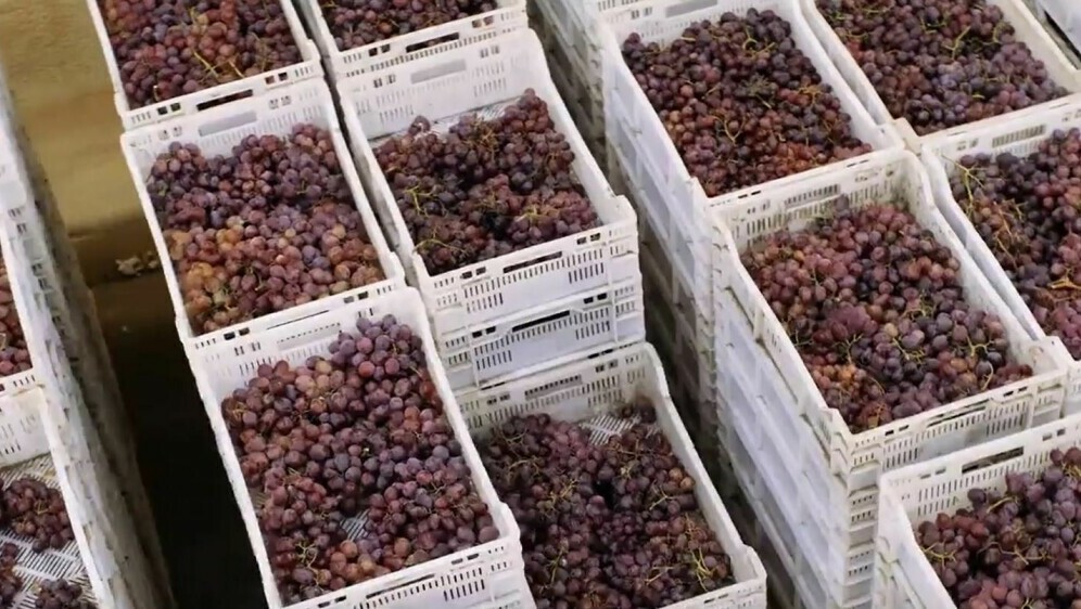 Informer: Skladištenje hrane - 3