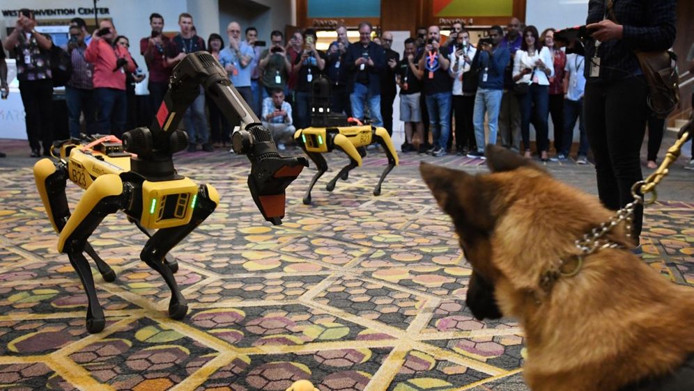 Robotski psi tvrtke Boston Dynamics