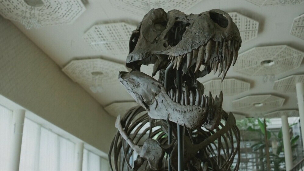 Kostur T-Rexa