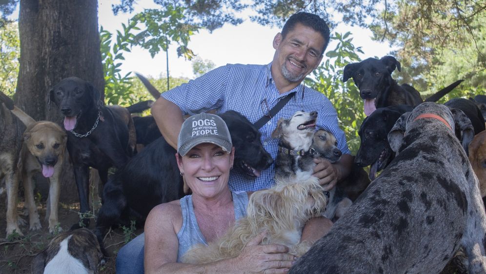 Territorio de Zaguates - 5