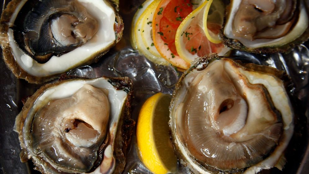 Kamenice ili oštrige iz Limskog zaljeva