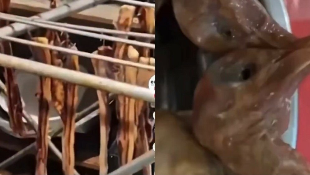 Pokvarena hrana i pripremljeni golubovi pronađeni u kineskom restoranu Jin Gu