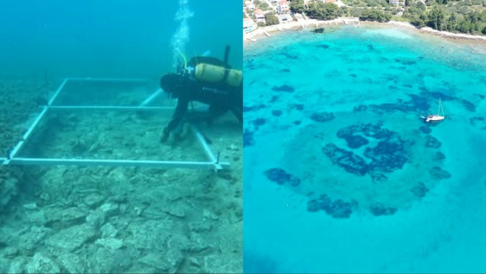 Ronioci kod stare ceste na dnu Jadranskog mora u blizini Korčule