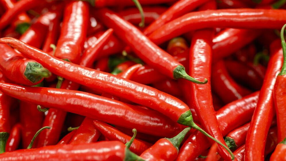 Kako se piše: chili ili čili