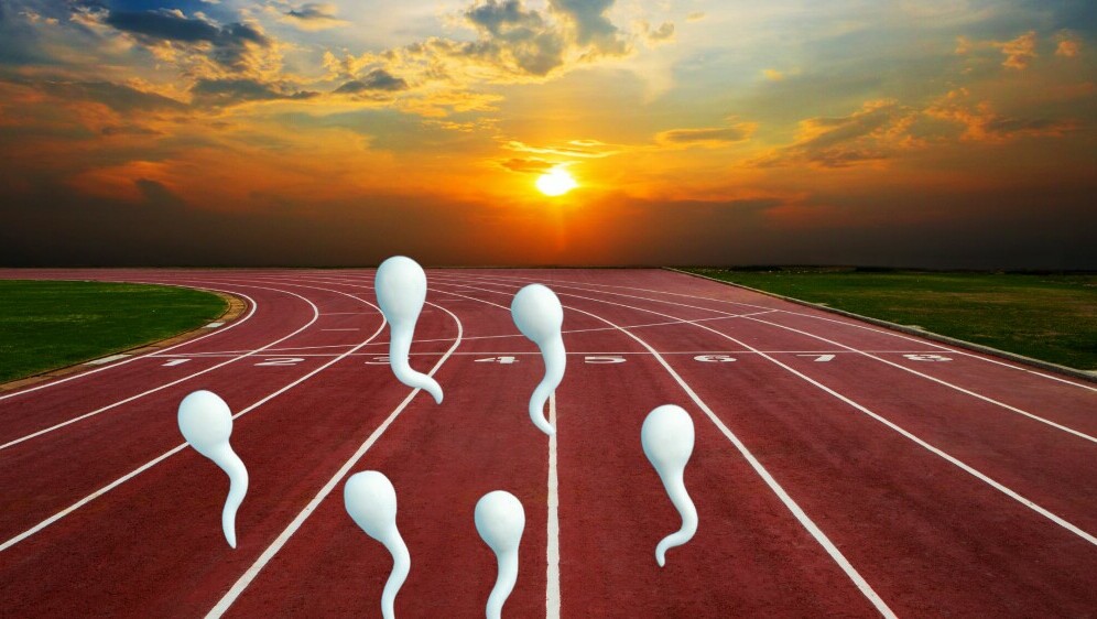 Atletska staza i spermiji koji se utrkuju