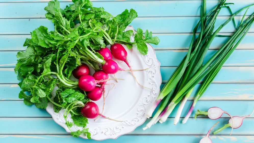 Rotkvice i mladi luk kraljevi su uskrsnog stola