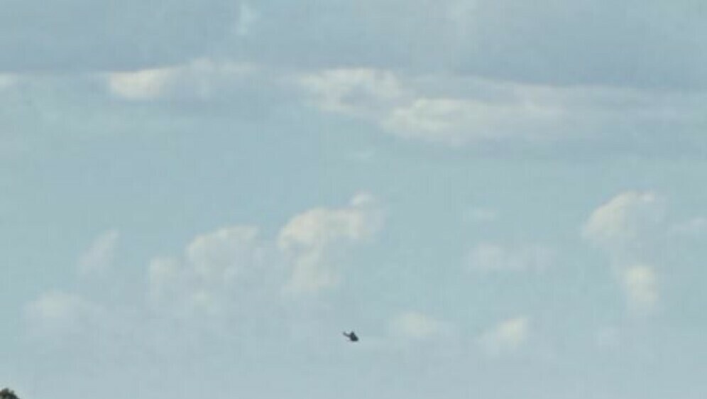 Snajperisti iz helikoptera ubijaju koale u Australiji