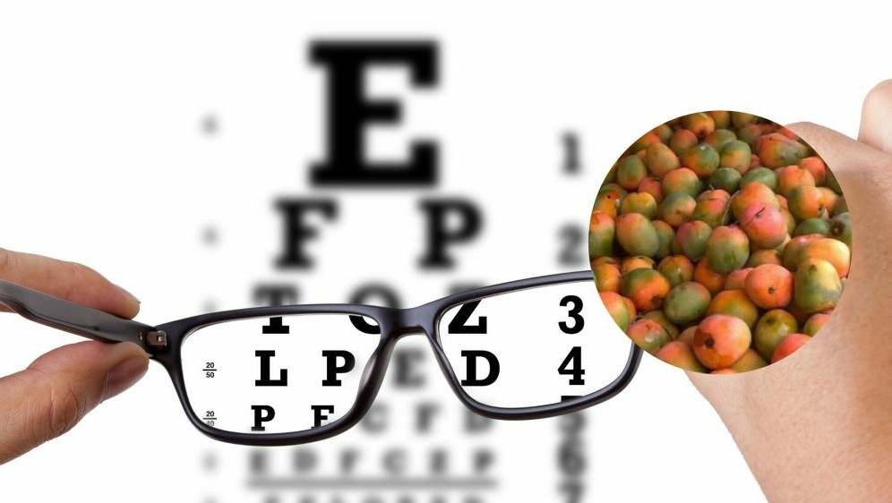 Provjera vida i optička iluzija papige skrivene među mangom