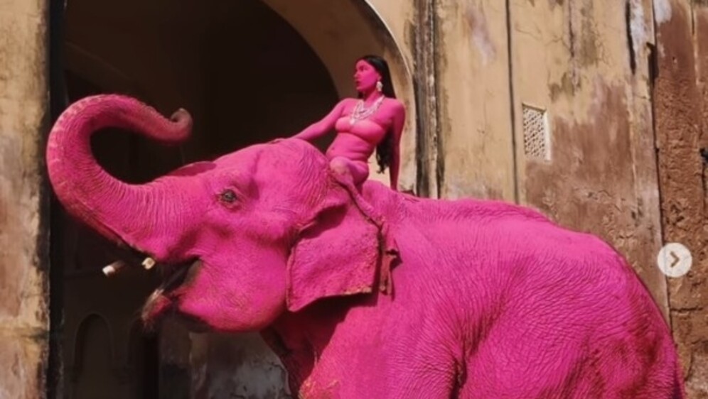 Ružičasti slon