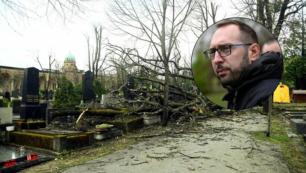 Šteta na Mirogoju i Tomislav Tomašević, ilustracija