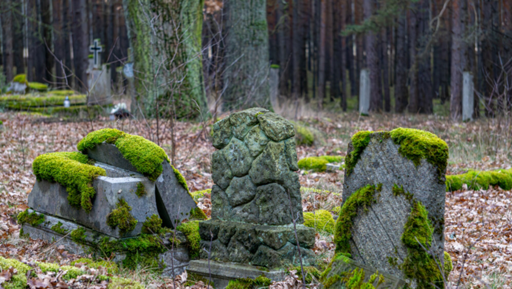 Mahovina na nadgrobnim spomenicima