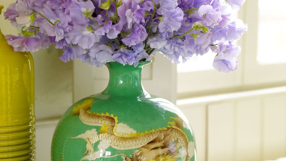 Delikatni cvijet mirisna grahorica izgleda očaravajuće - 9