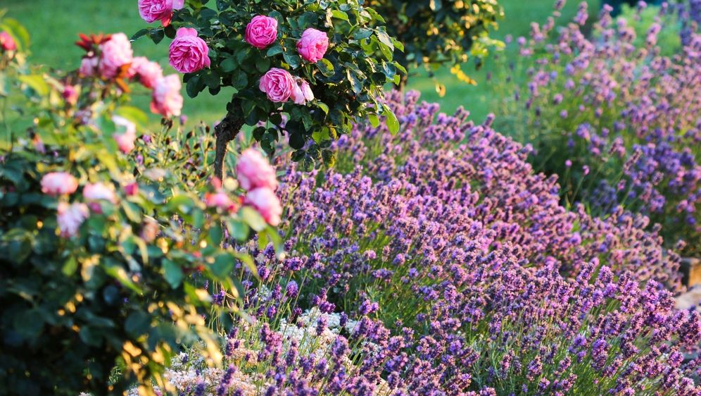 Travanjsko orezivanje je ključno