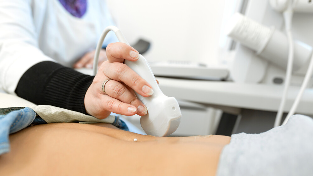 Pregled jetre, ilustracija