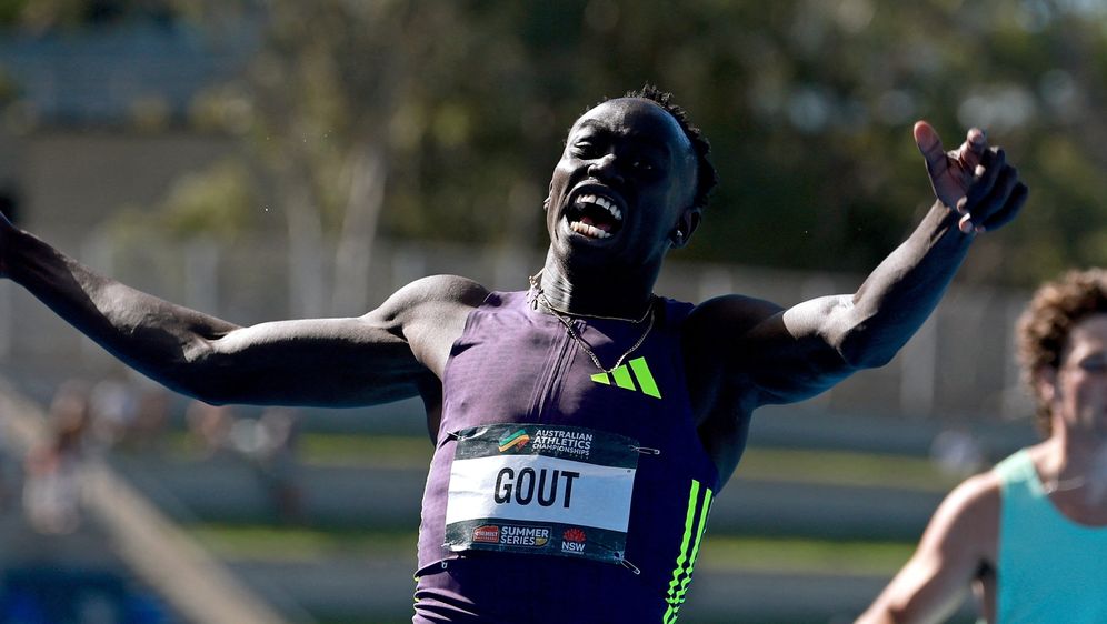 Gout Gout