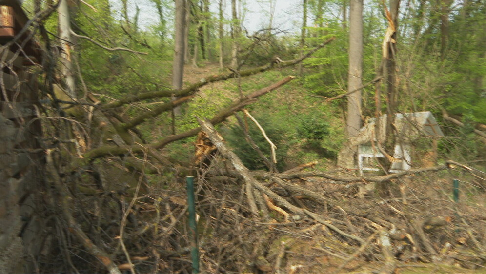 Šteta zbog nevremena u Zagrebu