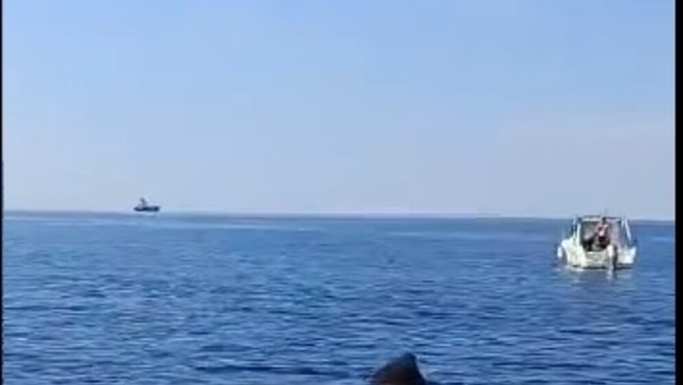 Golemu psinu opet snimili u Istri