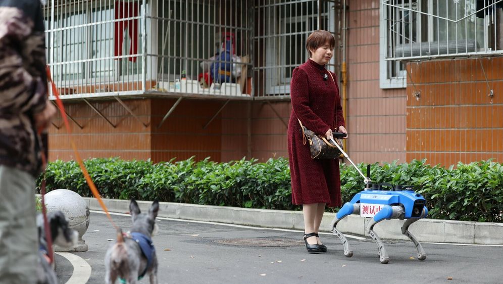 Robopsi za pomoć slabovidnim osobama u Chengduu u Kini - 3