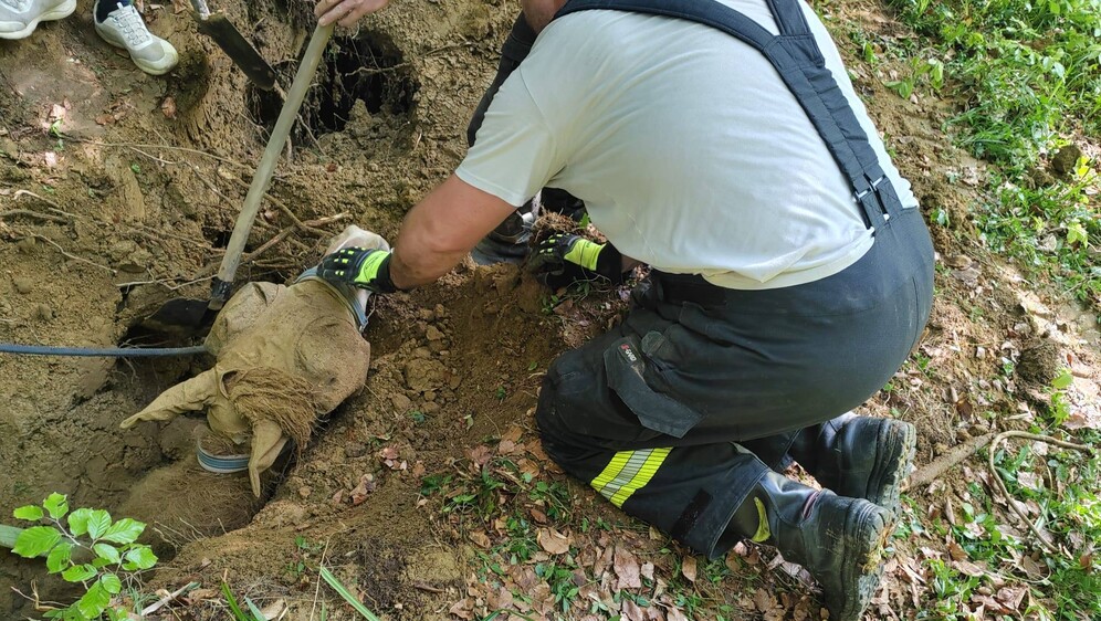 Izvlačenje kobile iz jame