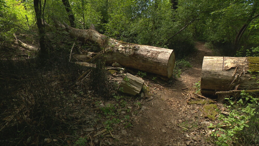 Rušenje ilegalnih objekata