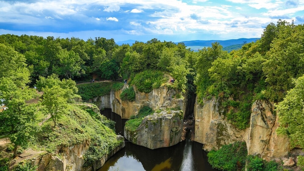 Megyer-hegyi tengerszem - 2