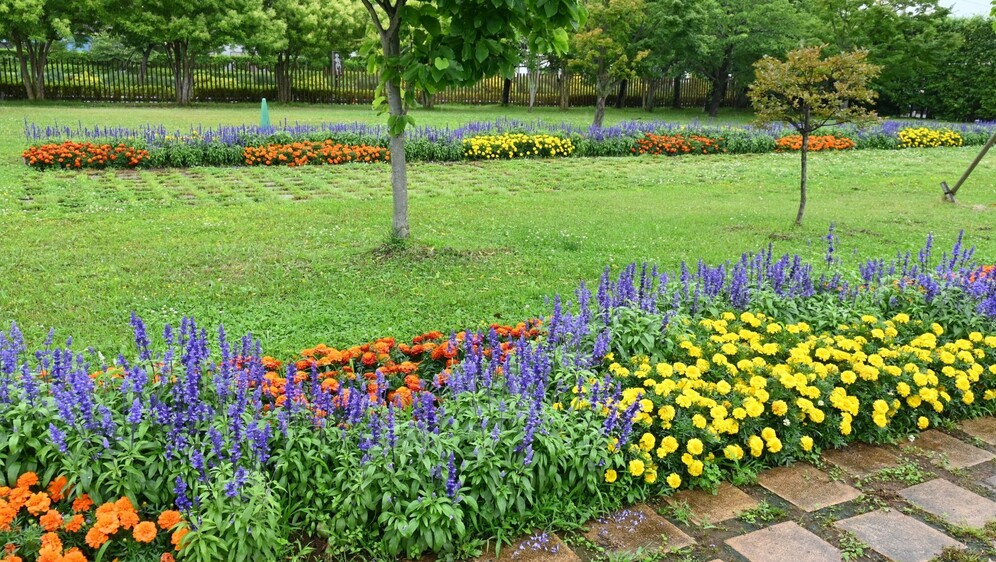 Cvijetna gredica u dvorištu