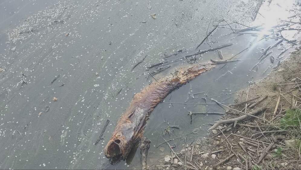 Pobuna mještana Kloštar Ivanića i Ivanić Grada - 1