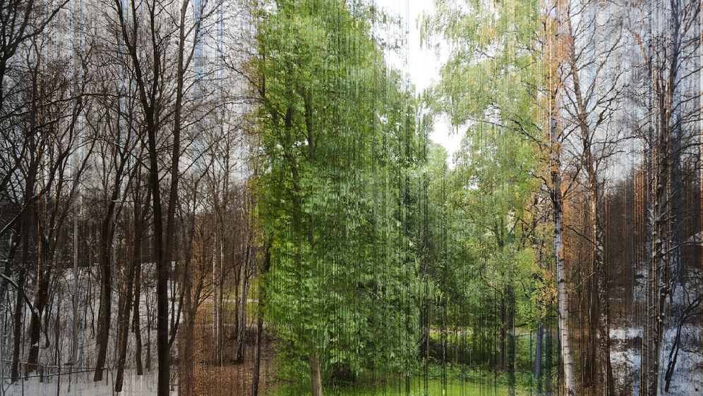 Jedna cijela godina prikazana u jednoj slici